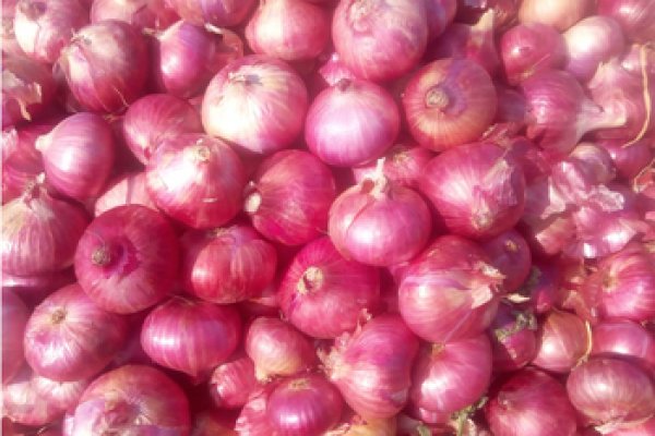 Гидра hydra hydra ssylka onion com